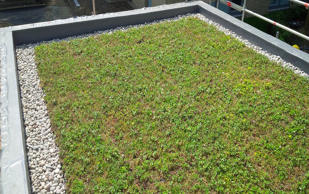 Tonbridge Sedum Blanket Green Roof